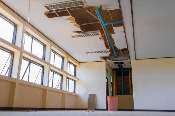 Best Local water damage restoration  in Blanchard, OK