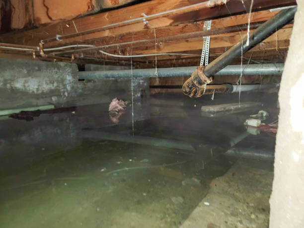 Best Mold removal after water damage  in Blanchard, OK