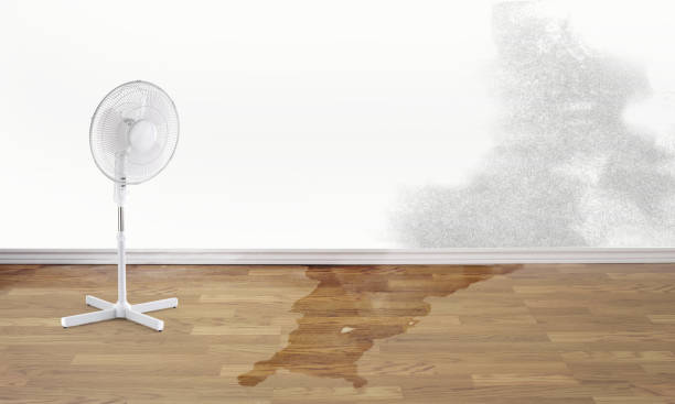 Best Commercial water damage restoration  in Blanchard, OK