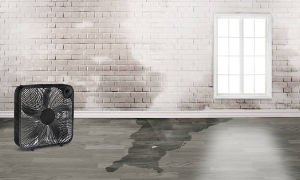 Best Water damage cleanup near me  in Blanchard, OK