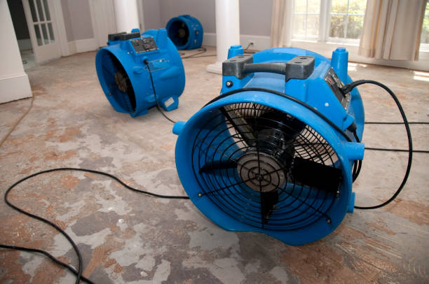 Best Ceiling water damage repair  in Blanchard, OK