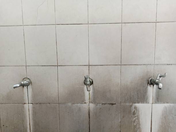 Best Water damage restoration insurance claims  in Blanchard, OK